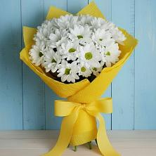 Букет цветов из:  Хризантемы в Лесколово