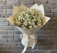 Букет цветов из:  Ромашки в Лесколово