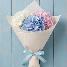 Букет цветов из:  Гортензия в Лесколово