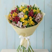 Букет цветов из:  Альстромерии в Лесколово
