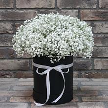 Цветочная композиция из Гипсофила в шляпной коробке в Лесколово