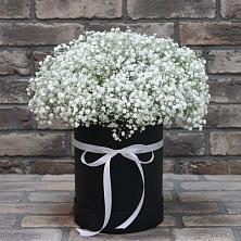 Цветочная композиция из Гипсофила в шляпной коробке в Лесколово