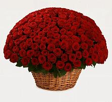 Премиум букет из: Розы #REPLACE_PRED# Лесколово